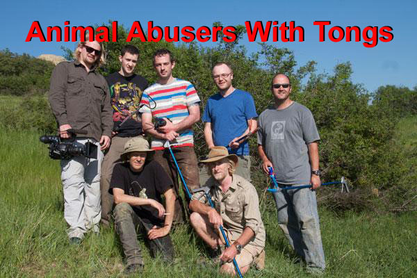 Animal Abusers