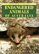 This was the book you should buy ... It had a Mountain Pigmy Possum - Burramys parvus - on the cover and is a definitive work on the subject.  Click here for further details.